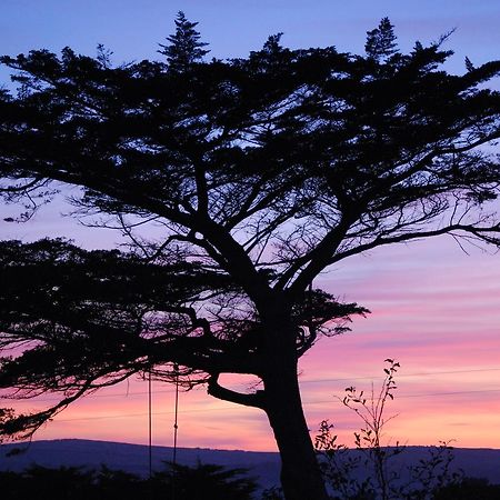 Bangors Organic Bed and Breakfast Bude Exterior foto