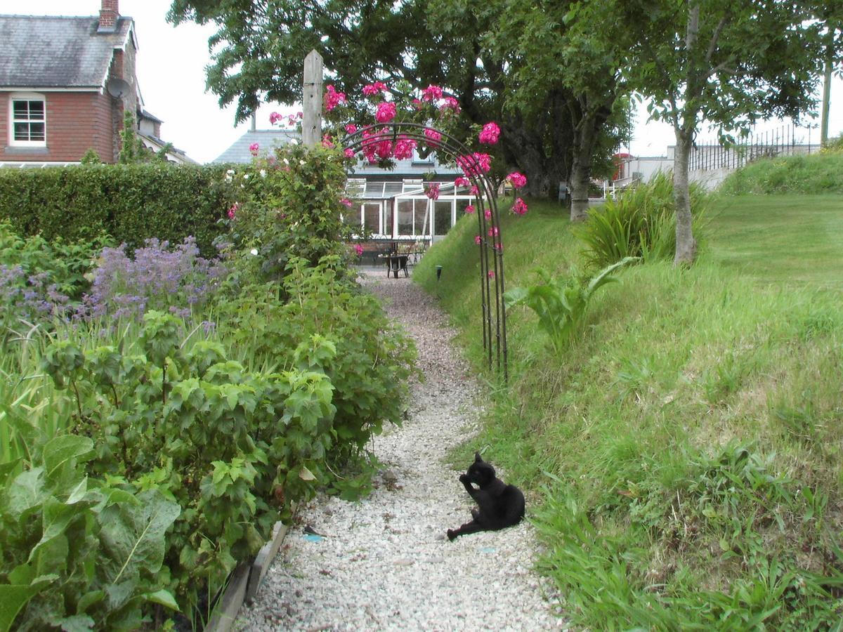 Bangors Organic Bed and Breakfast Bude Exterior foto