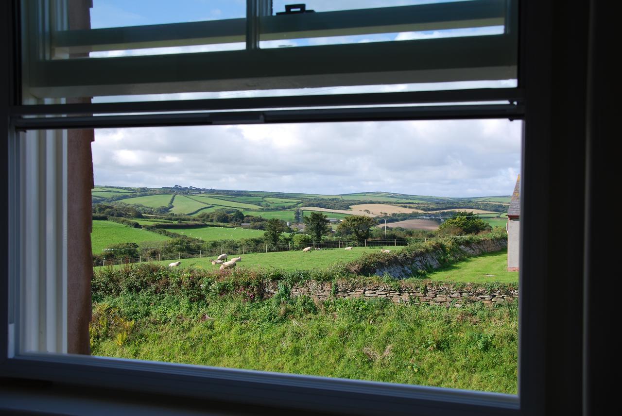 Bangors Organic Bed and Breakfast Bude Exterior foto